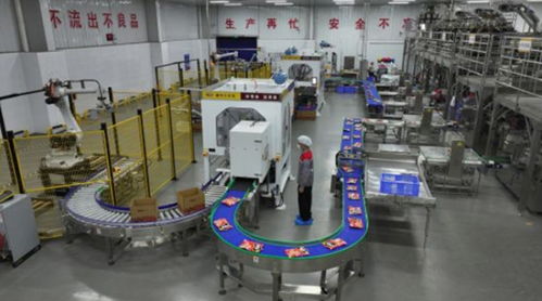 探访湖南食品 灯塔工厂 魔芋年产值15亿