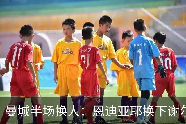 曼城半场换人：恩迪亚耶换下谢尔基