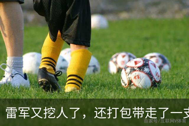 雷军又挖人了，还打包带走了一支团队。